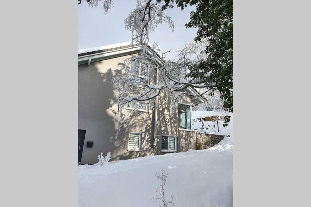 Ferienwohnung Am Musbach In Badenweiler-Sehringen Exteriör bild