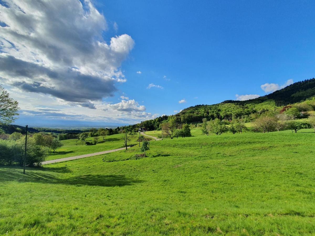Ferienwohnung Am Musbach In Badenweiler-Sehringen Exteriör bild