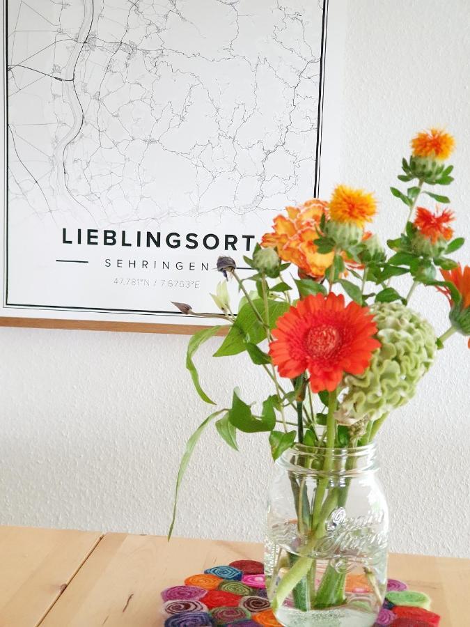 Ferienwohnung Am Musbach In Badenweiler-Sehringen Exteriör bild